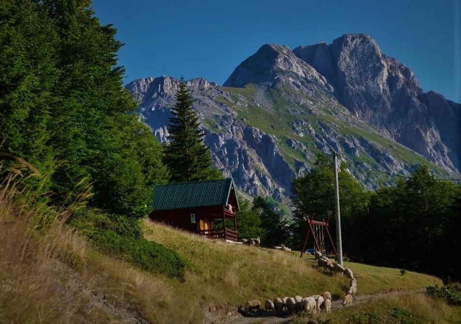 Mountain House Komovi-Radunovic Andrijevica 外观 照片